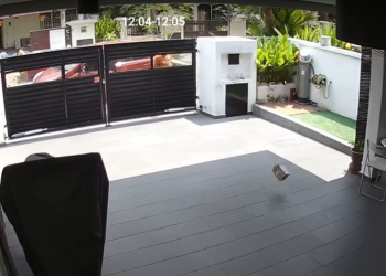 Shopee送货员乱抛包裹被抓拍！