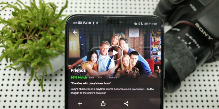 轻松追剧看电影!Netflix推出回放控制功能