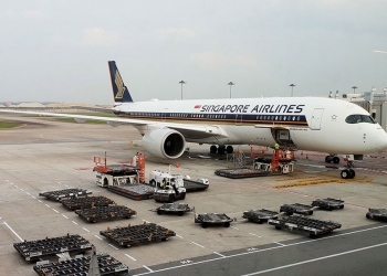 因应疫情 新航推出“游飞机河”航班！