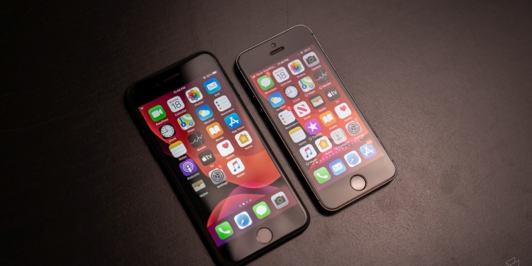 昆虫数量骤减 研究:或是手机辐射所致!