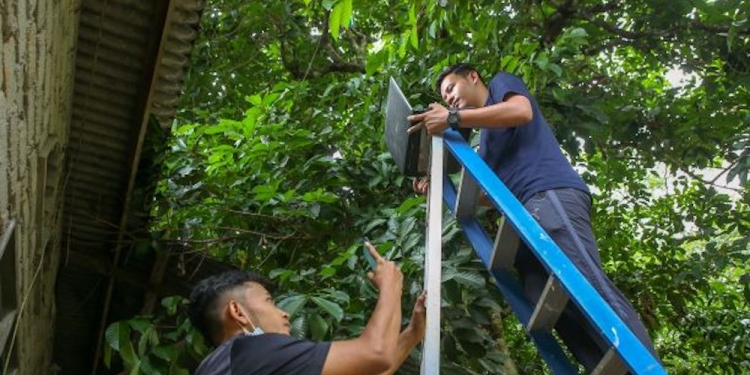 网络信号不佳！ 更多学生爬树上网课