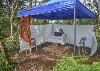 网络不给力！伟大爸爸为女儿建“森林教室”