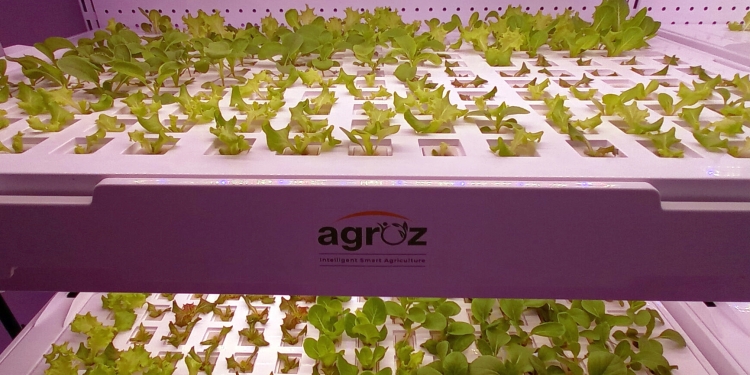 Agroz放眼打造全马最大室内垂直农场