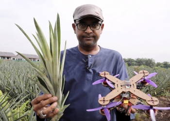 废物利用又快速自然分解！博特拉大学用黄梨叶打造无人机