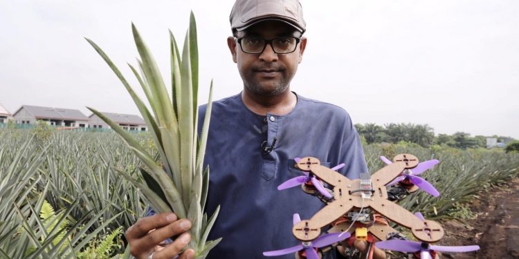 废物利用又快速自然分解！博特拉大学用黄梨叶打造无人机