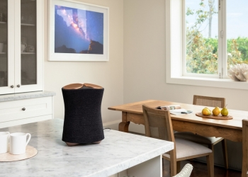 具360 Reality Audio技术！ 索尼推2款智能音箱