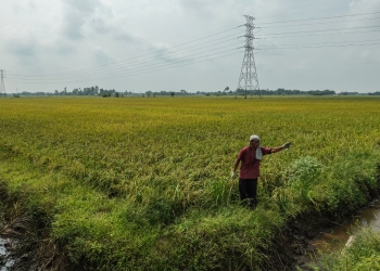 17亿补贴奖掖助农渔业！1.2亿加强食品供应保障