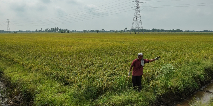 17亿补贴奖掖助农渔业！1.2亿加强食品供应保障