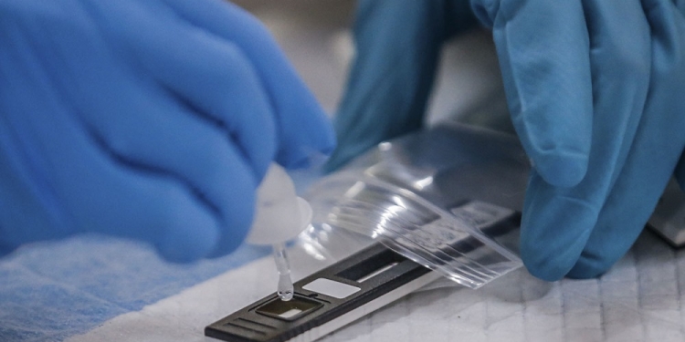 新增确诊病例微降！今报6060人染疫