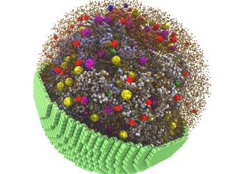研究人员使用NVIDIA加速创建活细胞模拟
