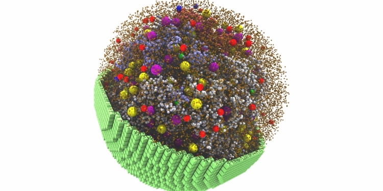 研究人员使用NVIDIA加速创建活细胞模拟