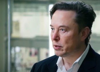 露鸟性骚空姐“给110万封口” 全球首富马斯克否认