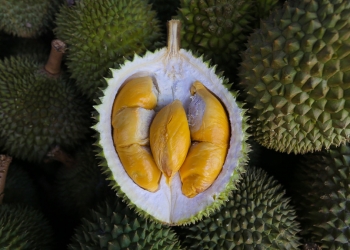 确保品质价格合理 以后可买到有SIRIM认证的猫山王？