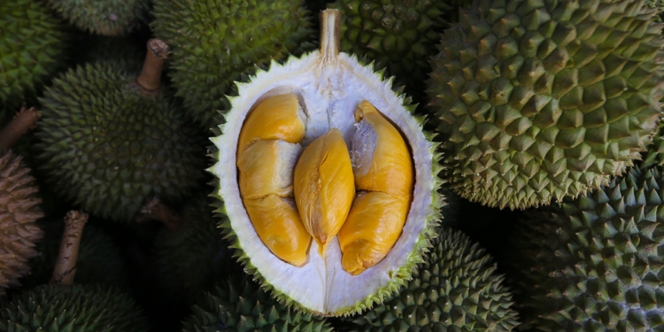 确保品质价格合理 以后可买到有SIRIM认证的猫山王?