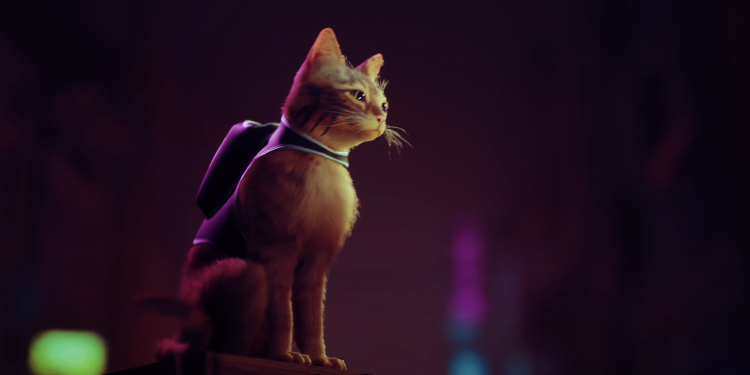 冒险游戏《Stray》获玩家好评 它有哪些亮点呢？