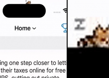 Reddit 应用 Apollo在灵动岛增电子宠物小部件