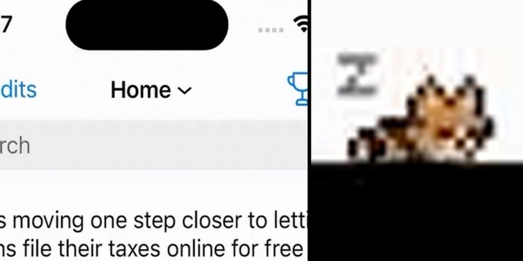 Reddit 应用 Apollo在灵动岛增电子宠物小部件