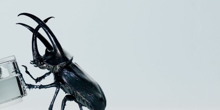 Nothing Ear (2)无线耳机322发布