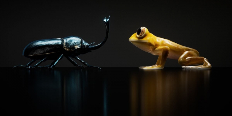 全新Nothing Ear和Ear(a) 418正式亮相!